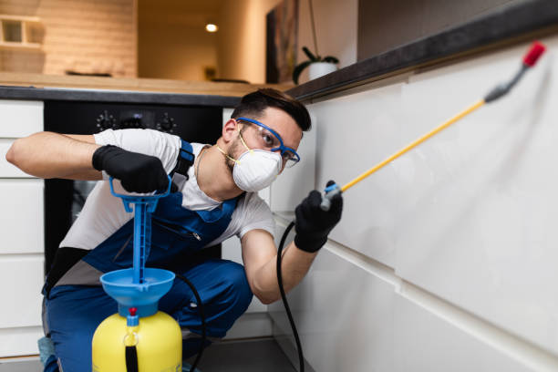 Best Cockroach Control Services  in Anderson, SC