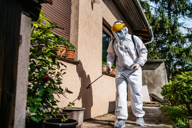 Best Pest Removal Services  in Anderson, SC