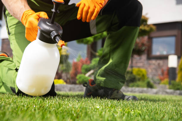 Best Affordable Pest Control Services  in Anderson, SC