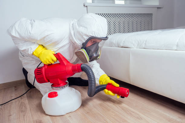 Professional Pest Control in Anderson, SC