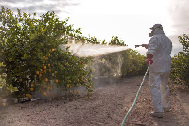 Best Wildlife Control Services  in Anderson, SC