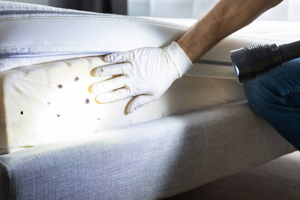 Best Affordable Pest Control Services  in Anderson, SC