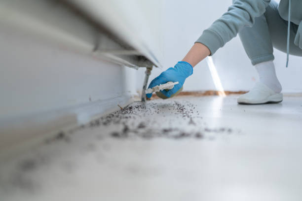 Best Best Pest Control Companies  in Anderson, SC